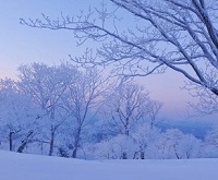 吉林长春字母圈斯慕吉林延边四平通化白城绳艺KBSP爱好者社群